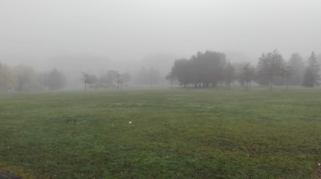 Imagen de un parque navarro invadido por la niebla