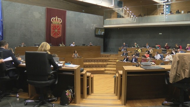 El Parlamento discrepa sobre la sentencia del caso Alsasua