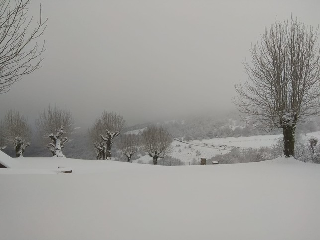La nieve ya cae en Navarra, en aviso naranja desde mañana