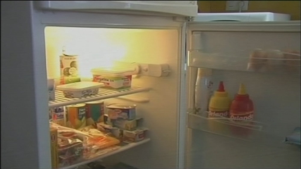 Interior de un frigorífico con alimentos