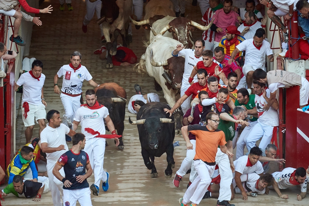 Sexto encierro de los Sanfermines 2019, con toros de de Núñez del Cuvillo, de Vejer de la Frontera (Cádiz)  / JP URDIROZ