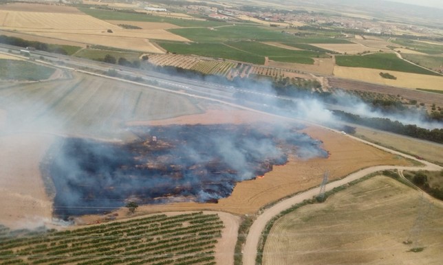 Controlado el incendio de un campo en Olite junto a la AP-15