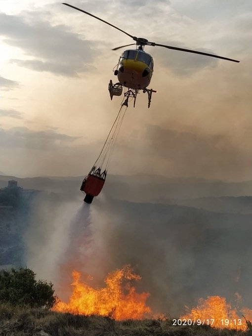 Extinguido el incendio de un pinar en Lónguida