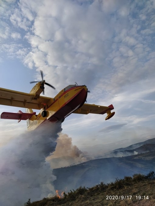 Extinguido el incendio de un pinar en Lónguida