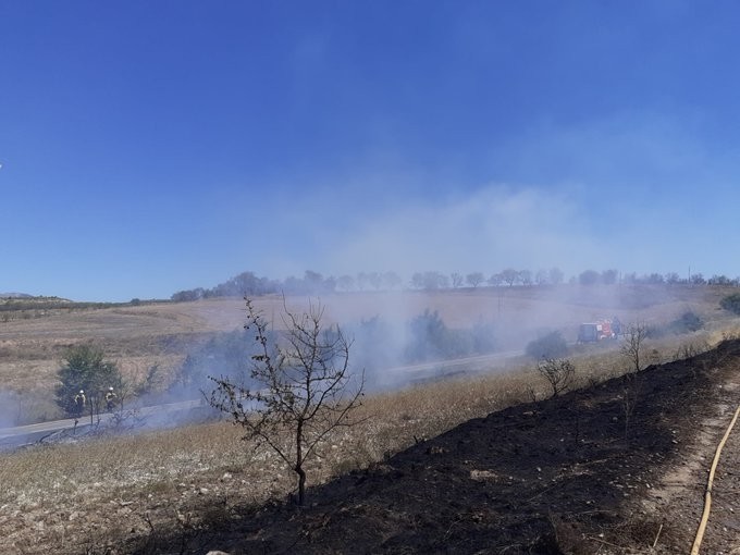Se quema una hectárea de terreno forestal en Viana