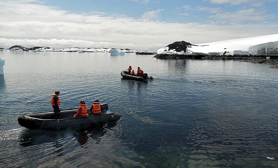 Mejillones a la conquista de la Antártida