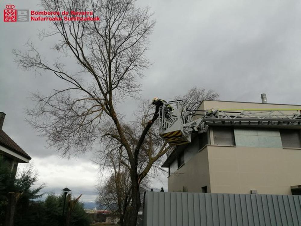 Cae un árbol sin causar heridos sobre una vivienda en Olaz
