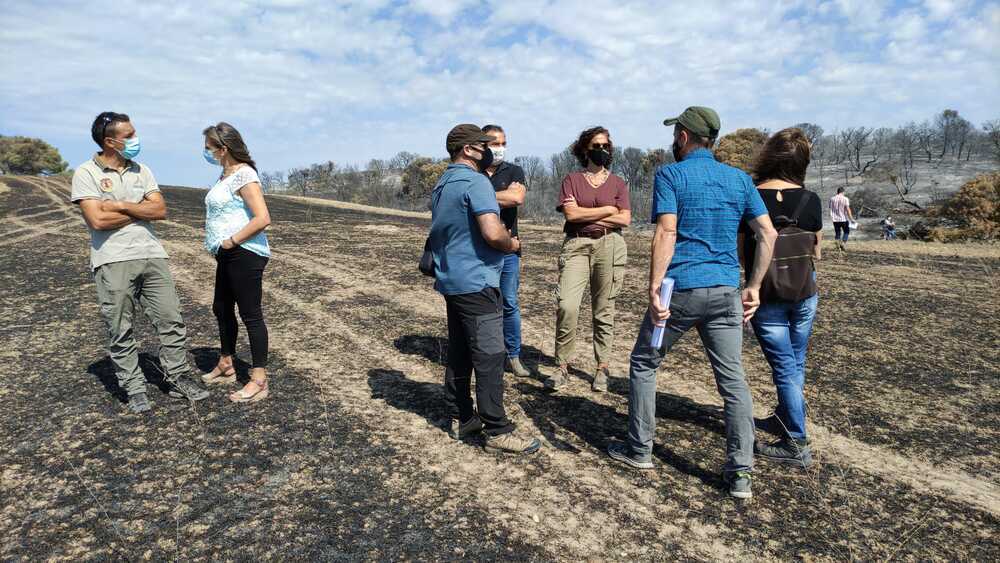517 hectáreas del Vedado de Eguaras, arrasadas por el fuego