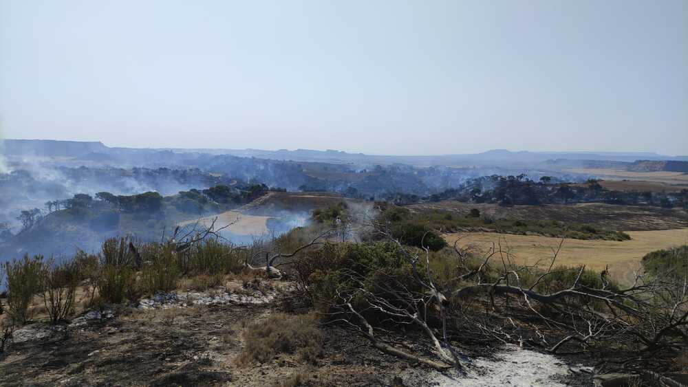 Estabilizado el incendio en el Vedado de Eguaras