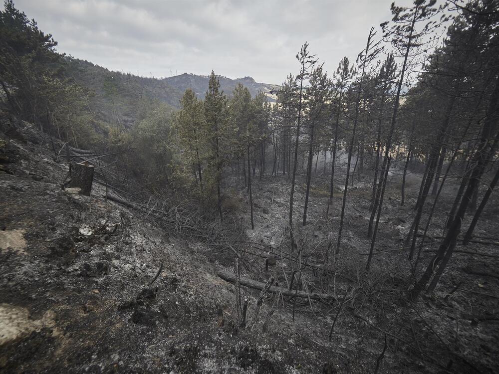 Los incendios han quemado más de 10.000 hectáreas en Navarra
