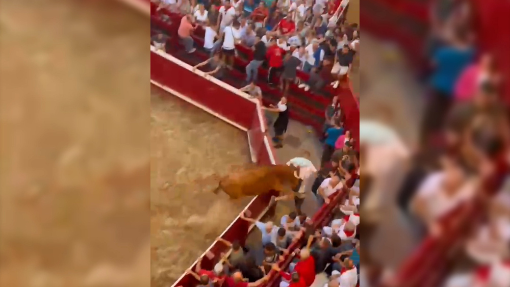 Una vaca saltarina asusta a Villafranca 