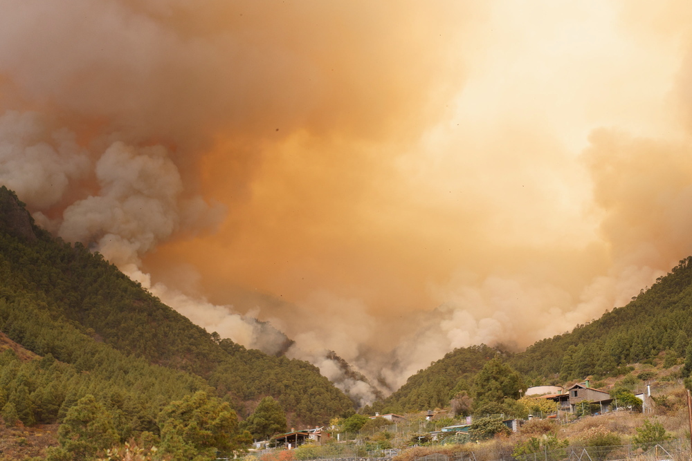 La superficie afectada por el incendio de Tenerife alcanza las 800 hectáreas  / AGENCIAS
