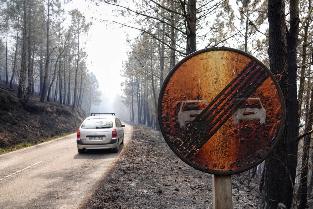 Asturias pendiente de la evolución meteorológica para poder frenar los numerosos incendios  / XUAN CUETO