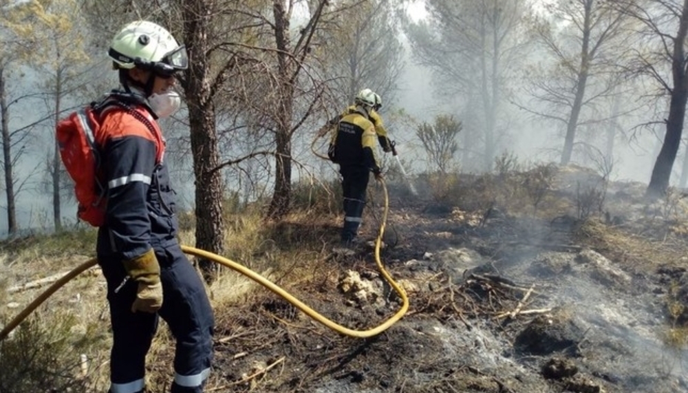 Extinguido un incendio forestal en Goizueta