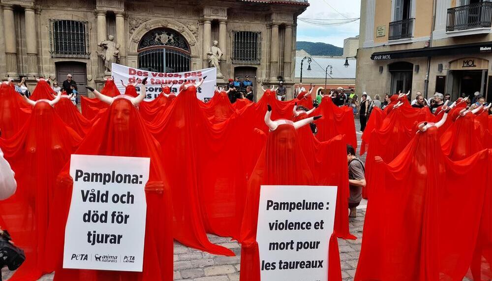 Masacre de zorros en Navarra: acusan al Gobierno foral de permitir