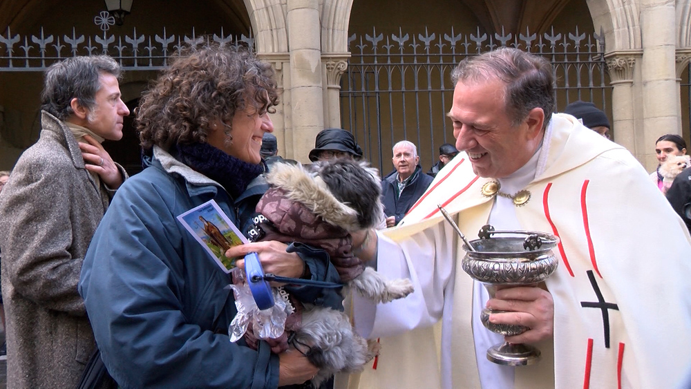 Navarra celebra San Antón, patrón de los animales domésticos