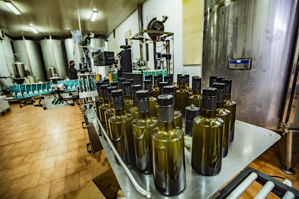 El aceite de oliva, a precio de oro