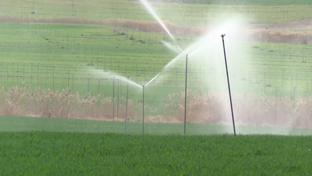 Preocupación en el sector agrícola por la escasez de agua