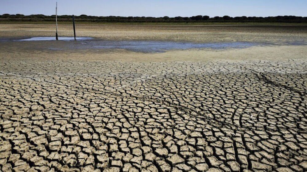 Imagen de la sequía en municipios de la Sierra de Huelva.