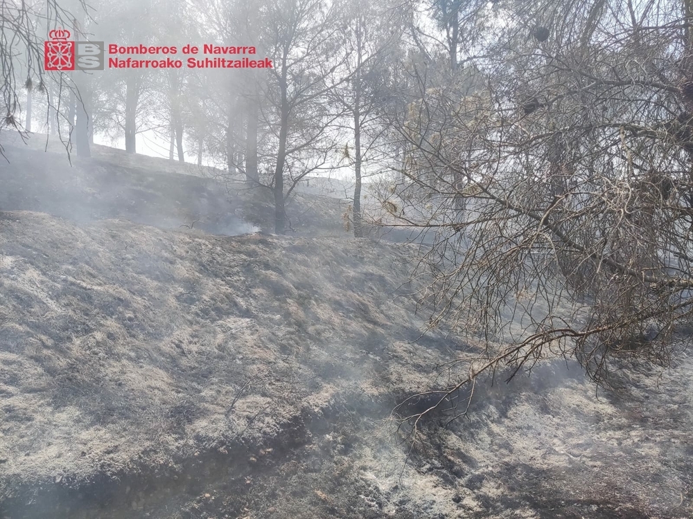 Reactivado el incendio declarado este domingo en Funes