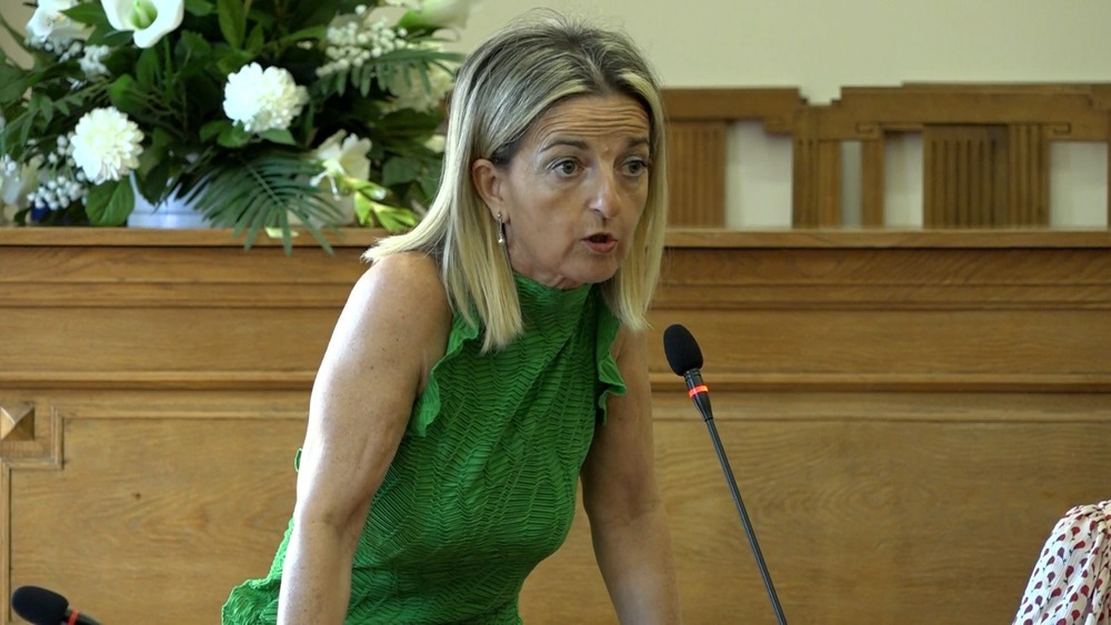 Esmeralda Masó (UPN), nueva alcaldesa de Lerín, durante el pleno en el que se ha debatido la moción de censura