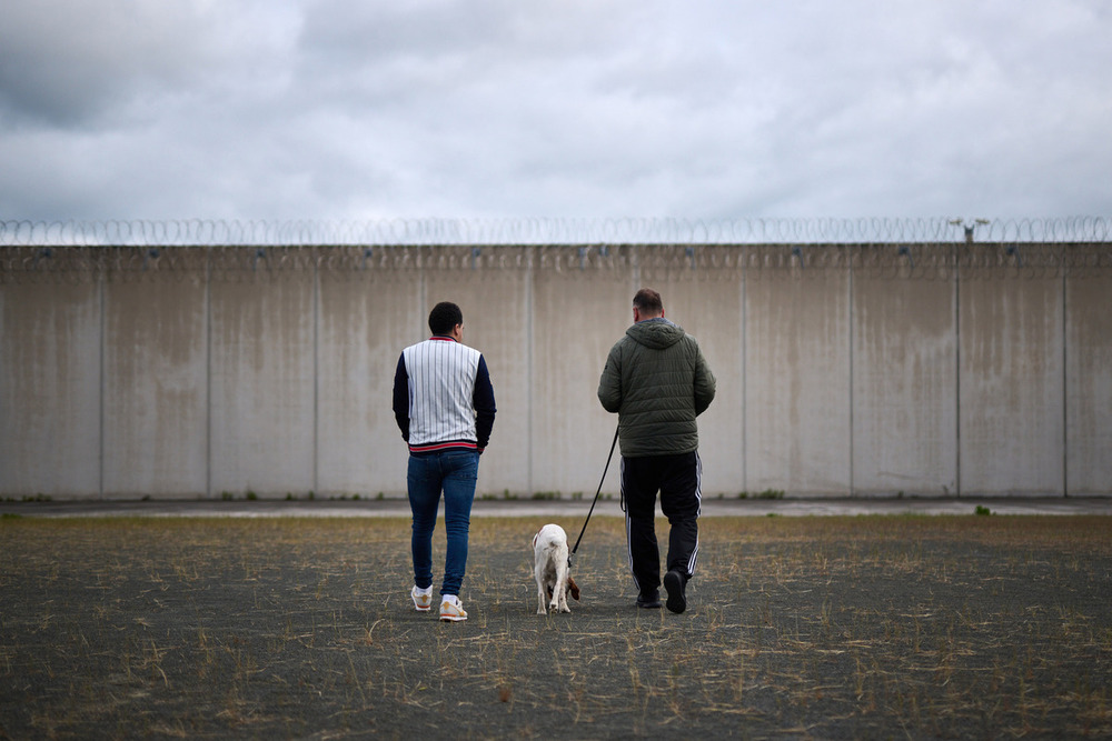 Terapias con perros para ayudar a presos en Pamplona