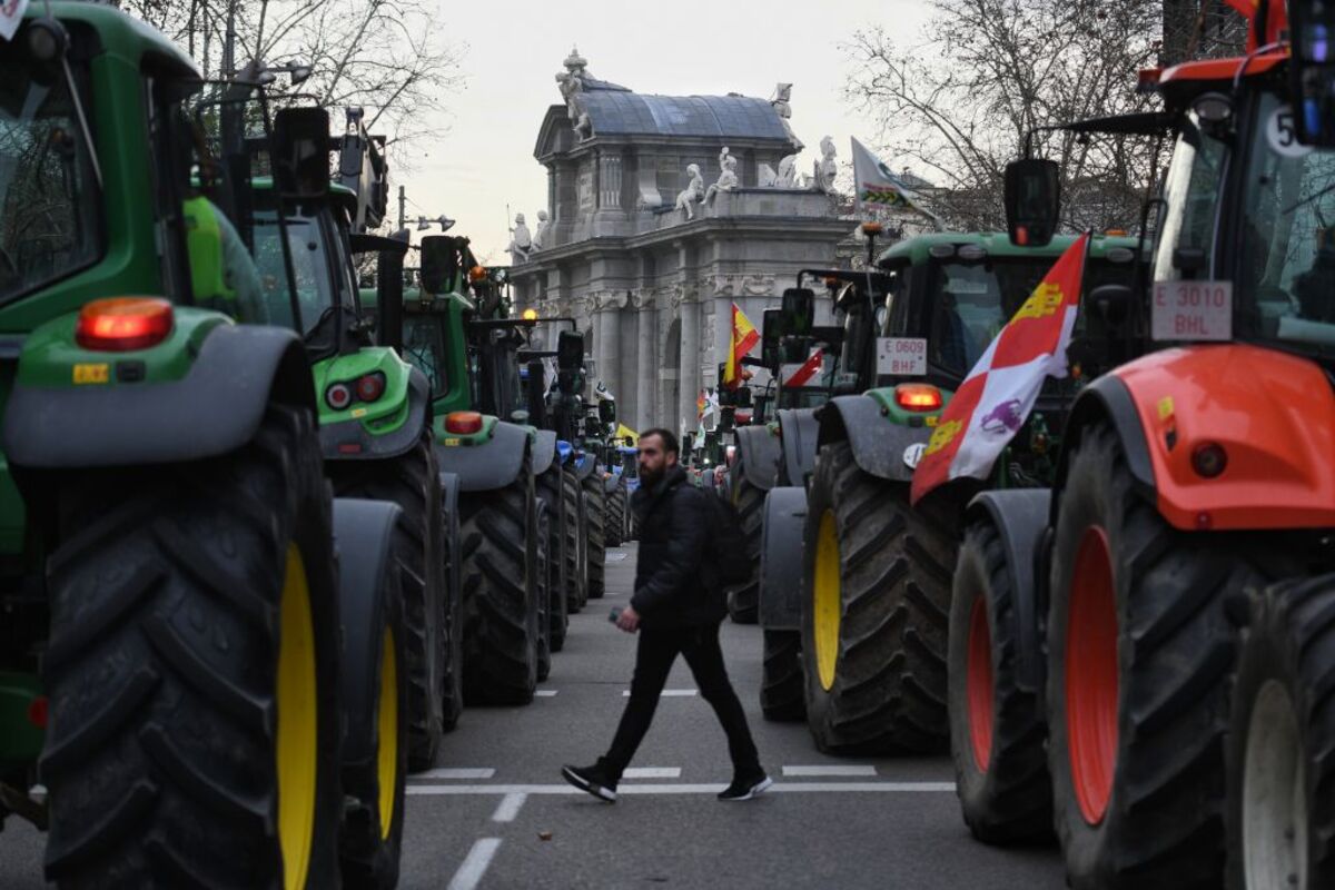 Décimosexta jornada de protestas de los tractores en las carreteras españolas para pedir mejoras en el sector  / FERNANDO SÁNCHEZ