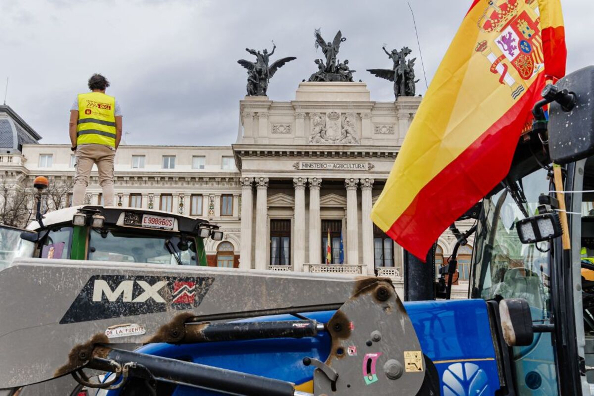 Décimosexta jornada de protestas de los tractores en las carreteras españolas para pedir mejoras en el sector  / CARLOS LUJÁN