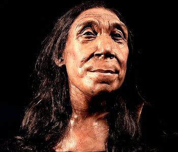 Un rostro con más de 75.000 años de antigüedad
