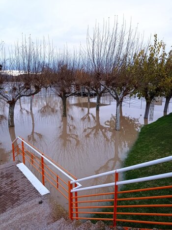 El Ebro empieza a desbordarse en Tudela