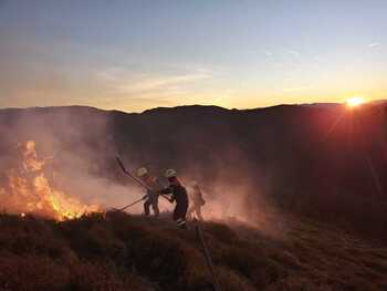 Los bomberos tratan de extinguir un incendio en Artikutza