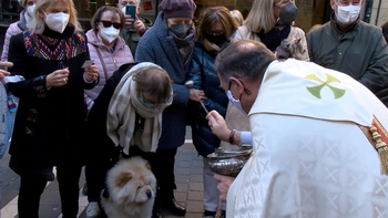 Bendición de San Antón a decenas de mascotas en Pamplona