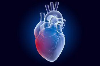 Un proyecto busca evitar el trasplante de corazón