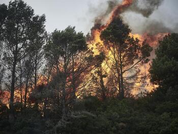 Estabilizado el incendio en la Sierra del Perdón