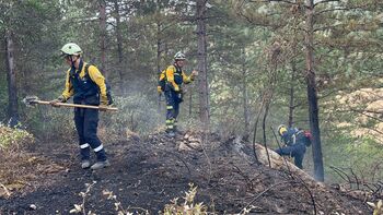 Controlados dos incendios forestales en Eguillor y Bardenas