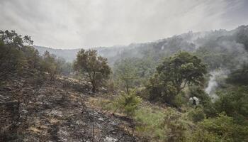 Controlado el incendio declarado en Aragón, próximo a Yesa