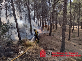 Estabilizado el incendio forestal en Moncayo