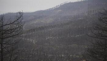 Afectadas más de 2.257 hectáreas de cultivo por el fuego