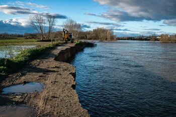 La CHE inicia la restauración del río Ebro en Milagro