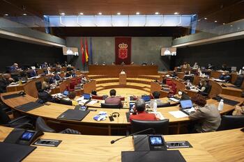 El Parlamento rechaza posicionarse contra las macrogranjas