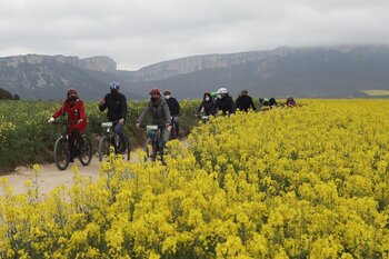 Más de 1.700 kilómetros para recorrer Navarra en bici