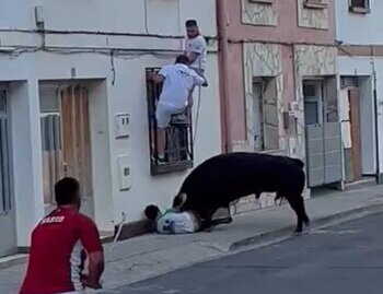 Dos heridos por asta de toro en el encierro de Lodosa