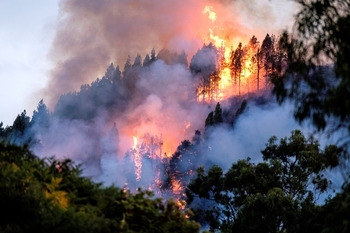 Navarra, reconocida como zona catastrófica por los incendios