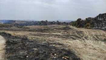 Un incendio afecta a más de 20 hectáreas en las Bardenas