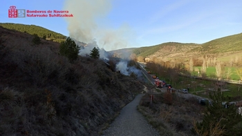 Bomberos intervienen en un incendio forestal en Zabaldika