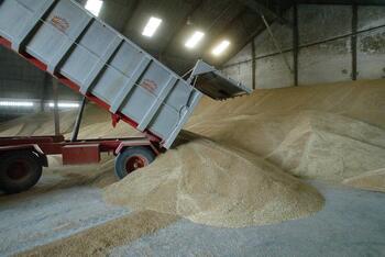 La sequía puede forzar el cierre de los almacenes de cereal