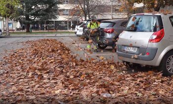 ¿Sabes dónde acaban las hojas que limpian en las calles?
