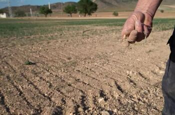 Ayudas por la sequía a casi 2.000 agricultores y ganaderos