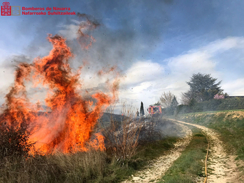 Incendio forestal en Muez, que afecta a una zona de matorral