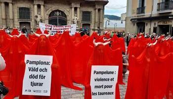 Animalistas protestan en Pamplona contra la tauromaquia
